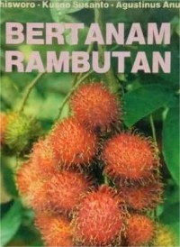 Image of Bertanam Rambutan