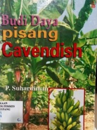 Image of Budi Daya Pisang Cavendish